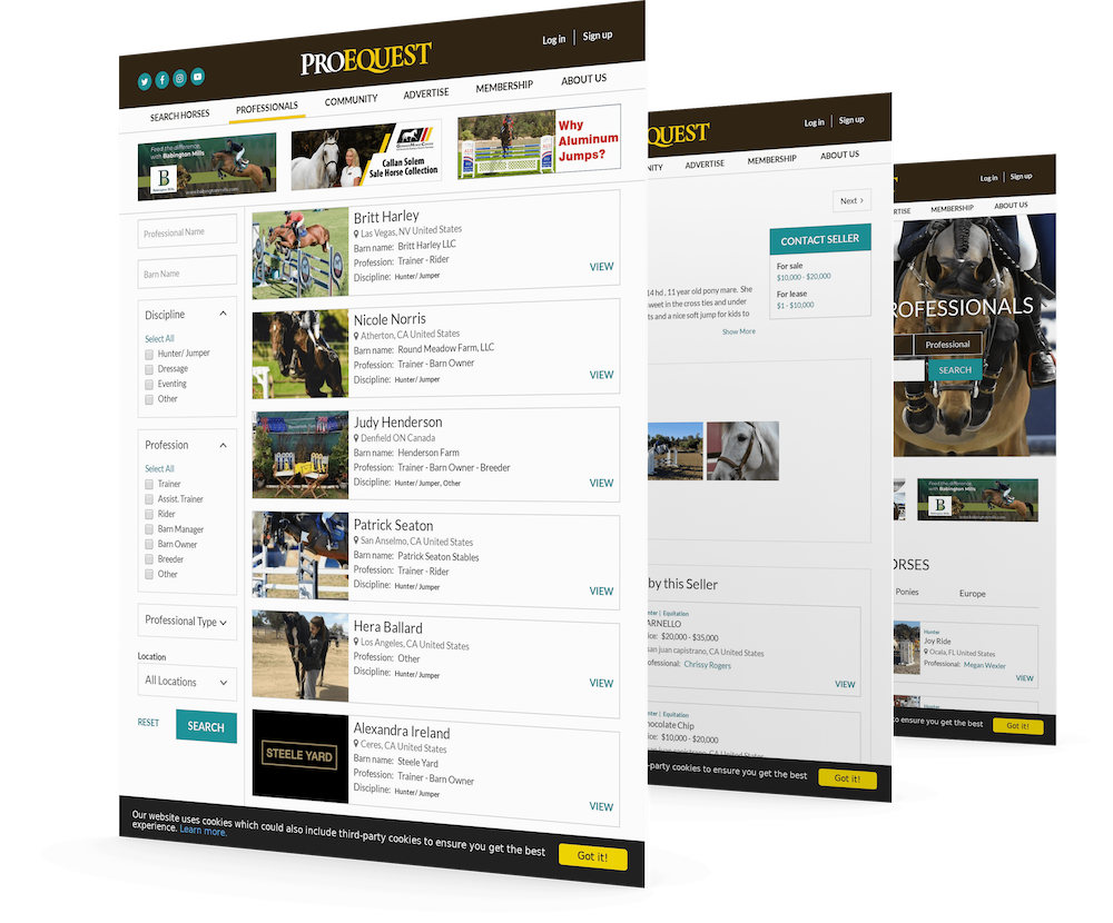 ProEquest - Equestrian Online Market