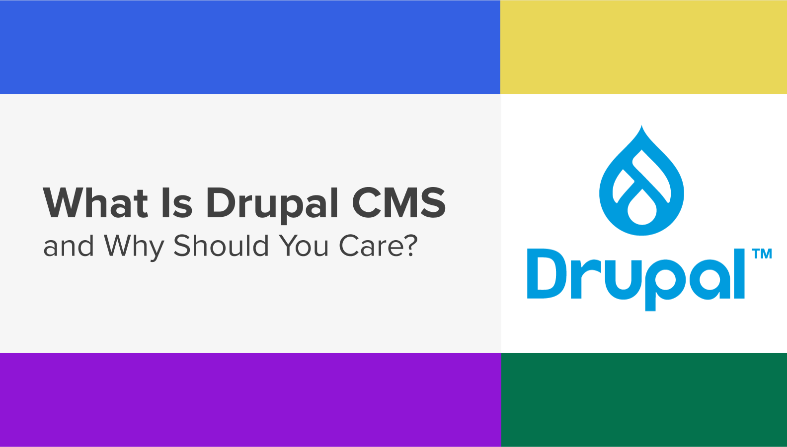 What is Drupal CMS banner image