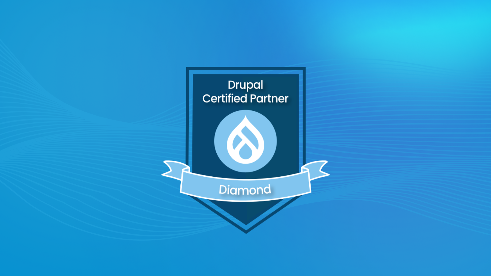 certified drupal Company
