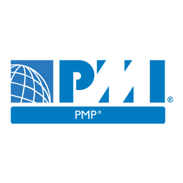 PMI PMP logo, blue text with globe icon, on white background.