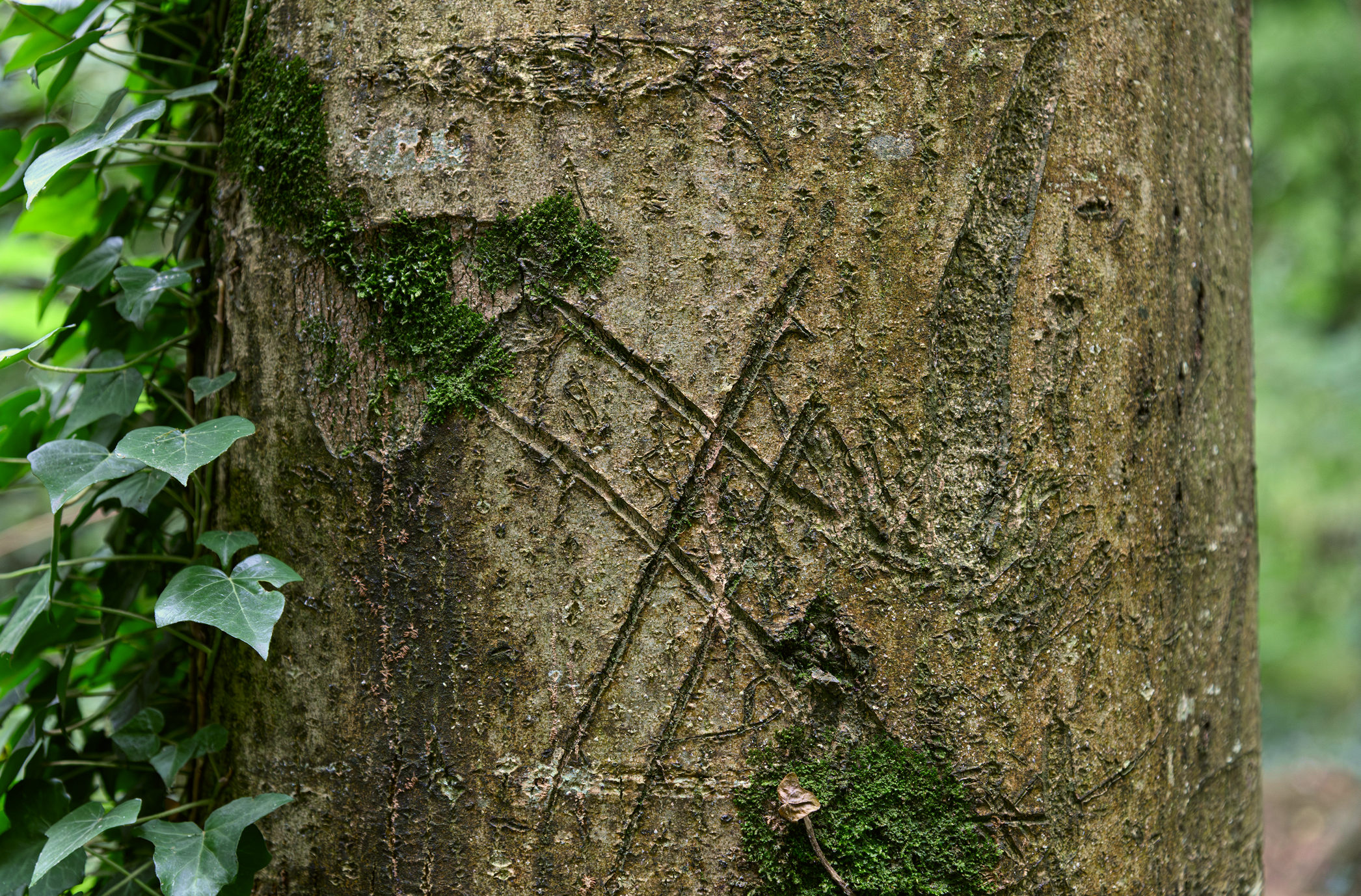 Weathered stone pillar with faint carved markings and moss, ivy climbing the side.