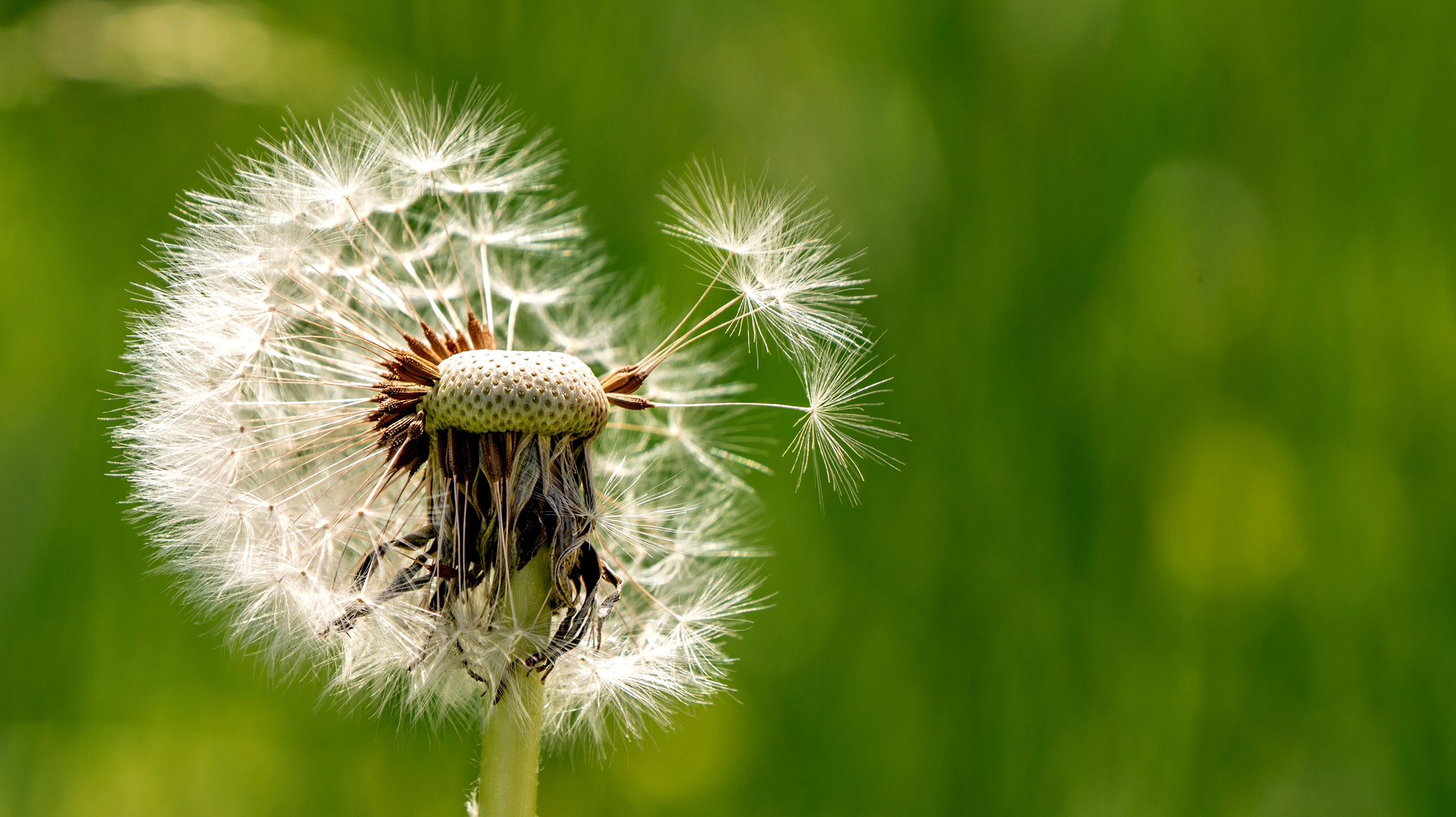 thumbnail for Nonprofit Search Visibility: Why AI Cites Your Content and Skips Your Site