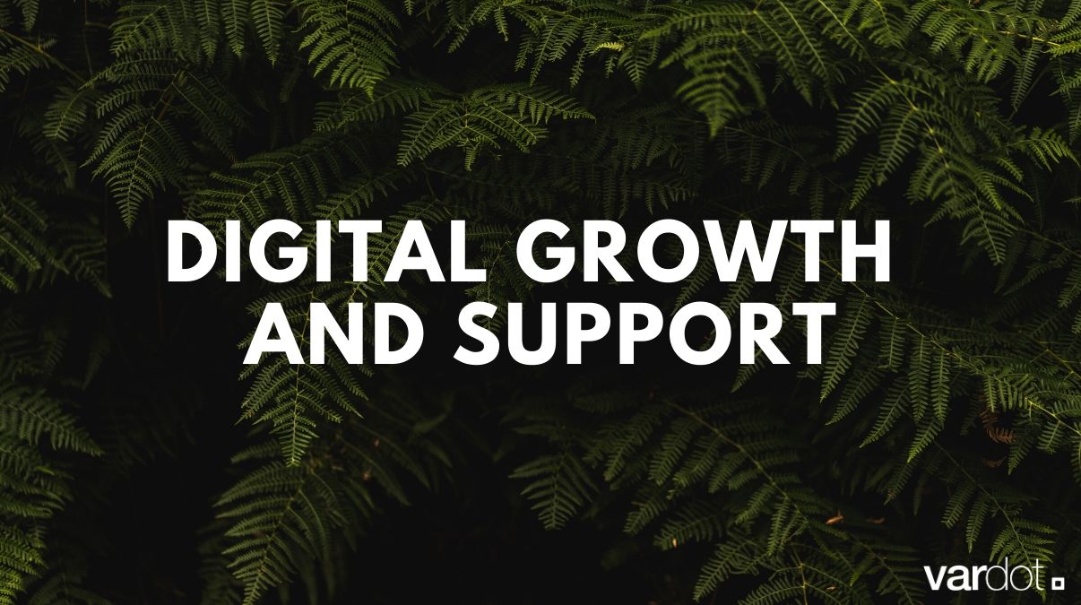 Reliable Hosting and Ongoing Support