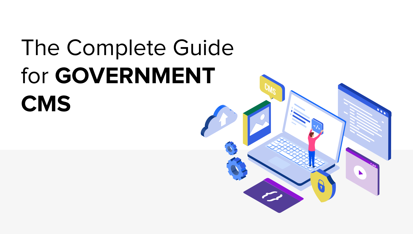 Government CMS banner