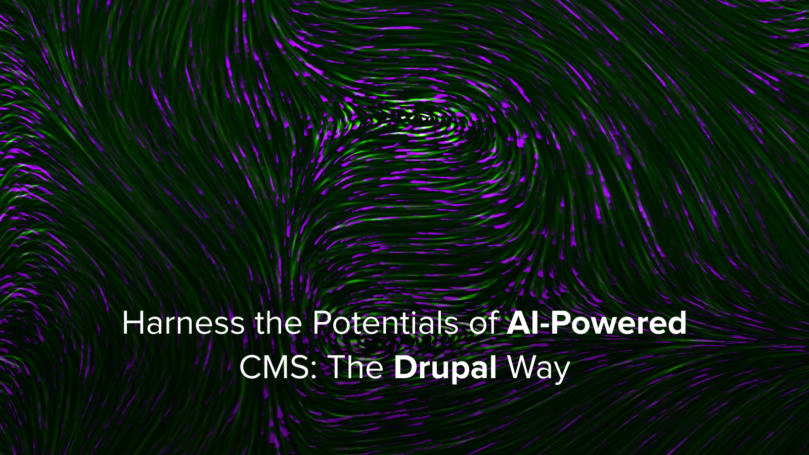 AI and Drupal CMS