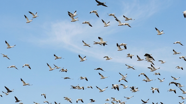 evaluate Drupal migration partner