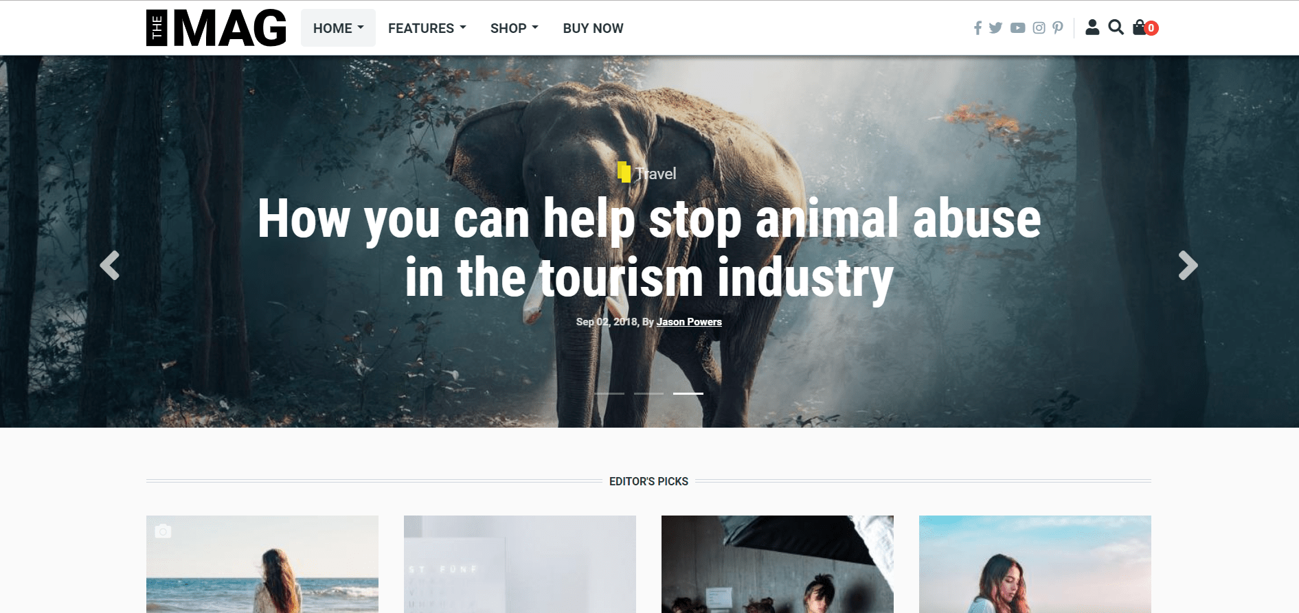 Best Drupal Theme: TheMAG by PinkDexo
