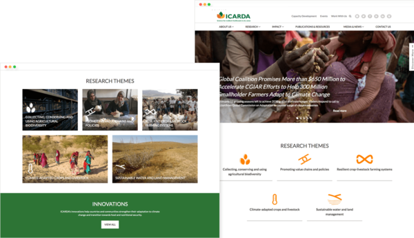 ICARDA Website