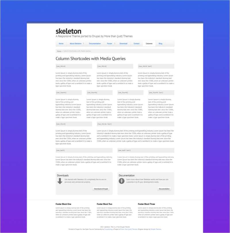 Skeleton Drupal 9 Fully Featured Theme