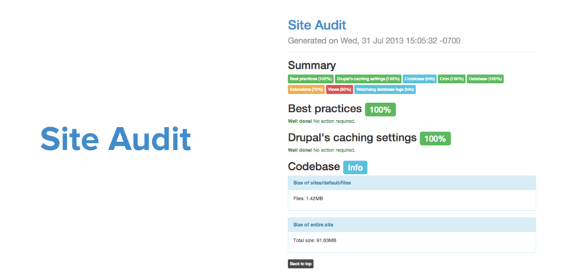 Site audit