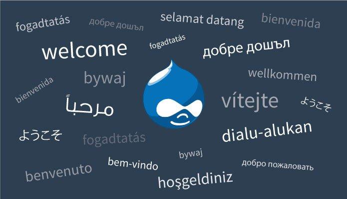 A Drupal developed multilingual website gives you a competitive edge A Multilingual Website