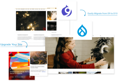 Drupal Migration Services 