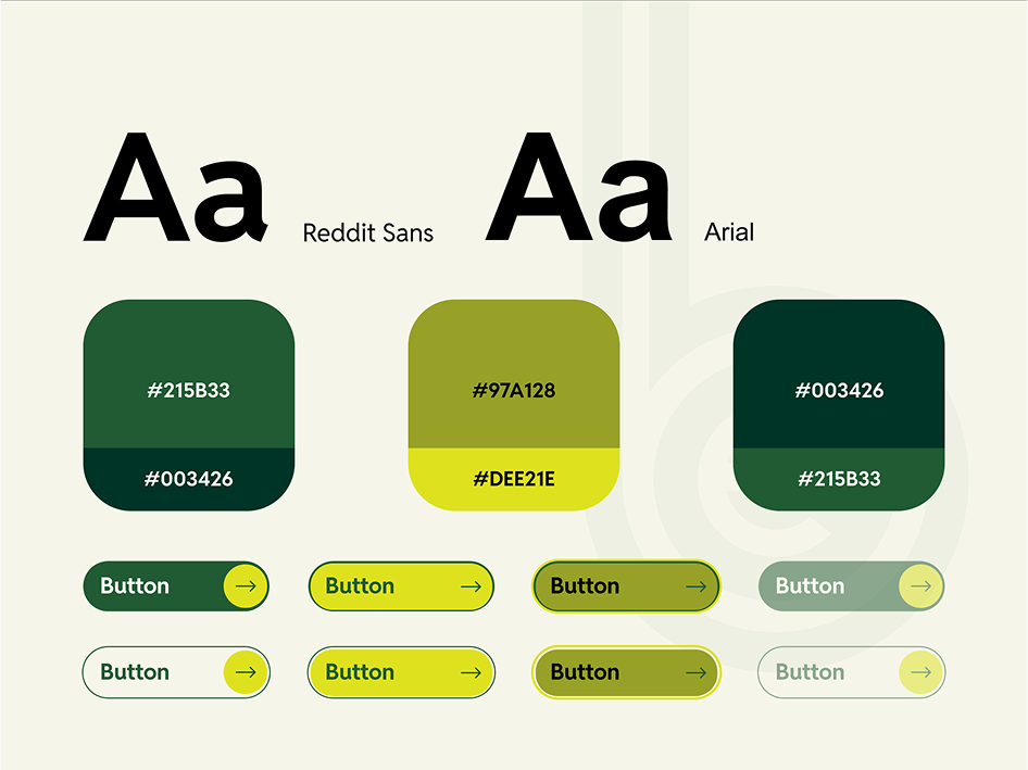 Bayer Becker Designs experience redesign color pallet