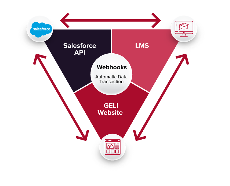 GELI Website Technology Infrastructure