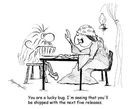 The Relationship Between Developers and QA