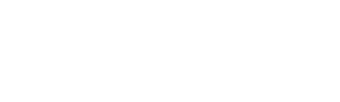 Vardot Logo White